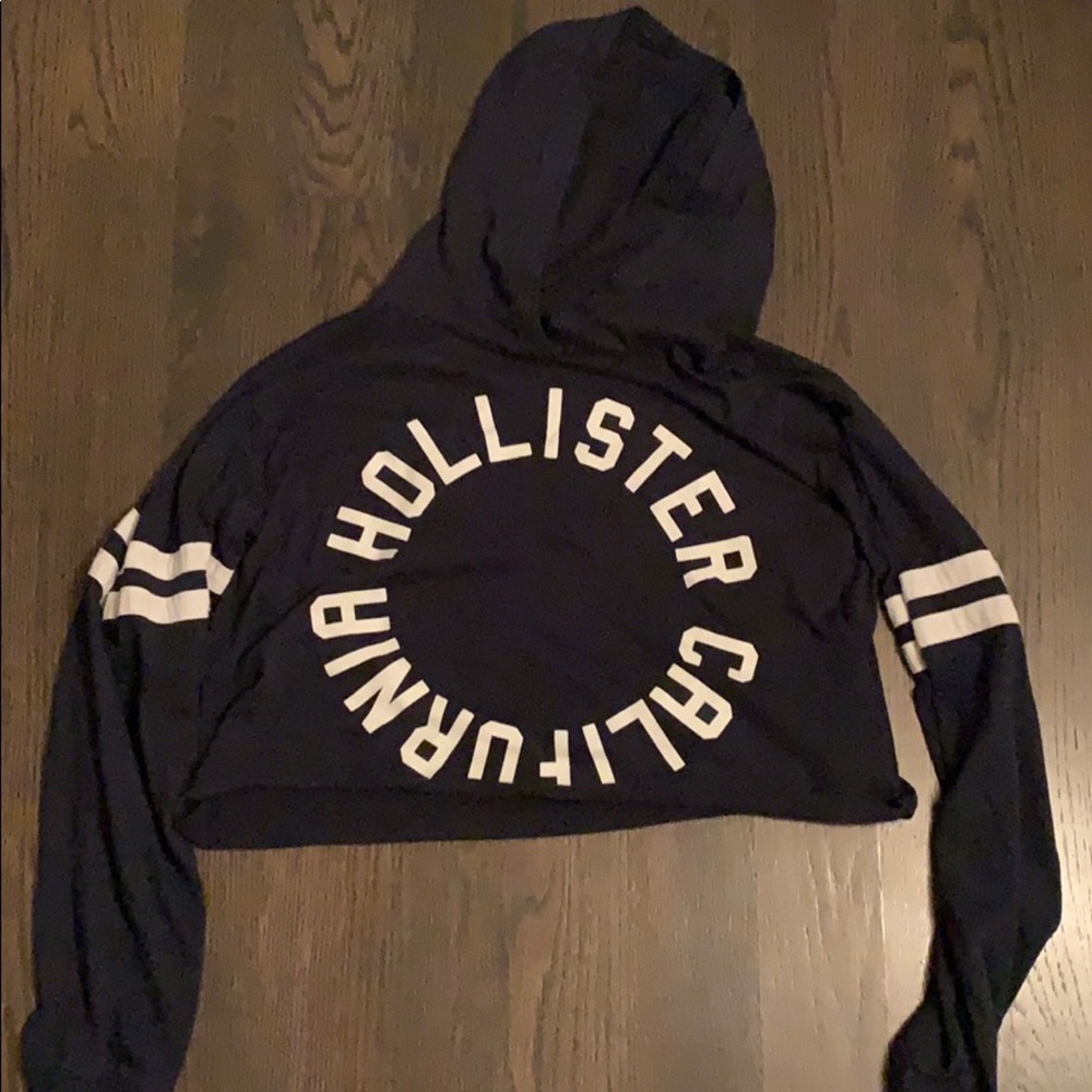 hollsiter cropped hoodie